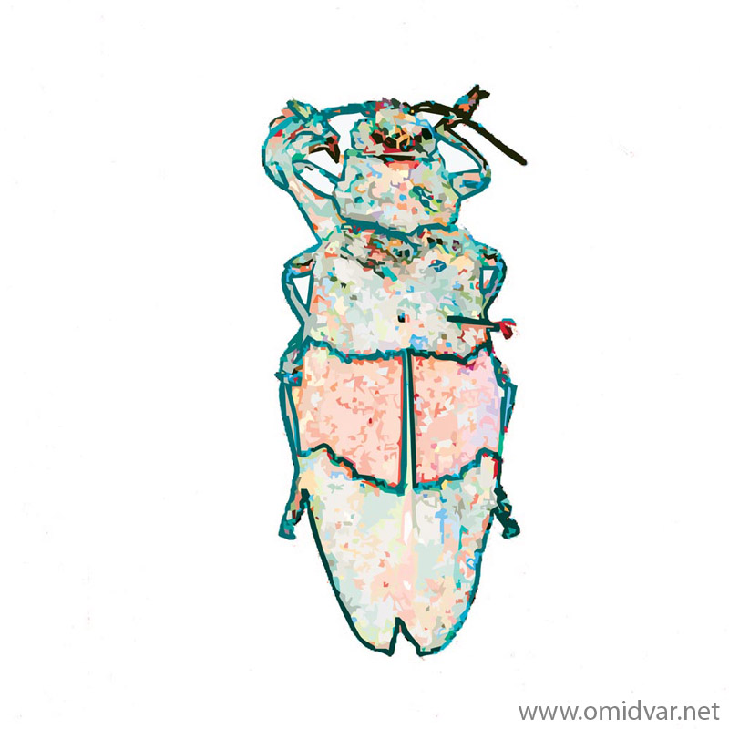 Digital painting of insects from "musee de histoire sciences naturelles de paris"