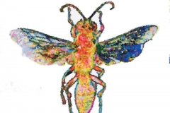 Digital painting of insects from "musee de histoire sciences naturelles de paris"