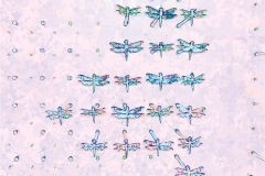 Digital painting of insects from "musee de histoire sciences naturelles de paris"
