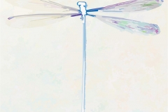 Digital painting of insects from "musee de histoire sciences naturelles de paris"