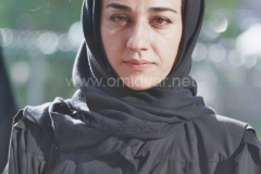 Iranian-Graphist-Photo-DrOmidvar (56)