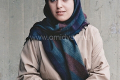 Iranian-Graphist-Photo-DrOmidvar (61)