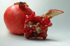 Pomegranate