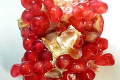 Pomegranate
