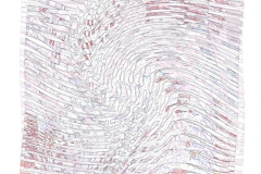 these digital paintings are designed for scarf