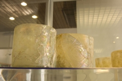 photo from tabriz museum