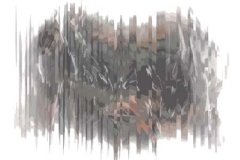 Untitled-11