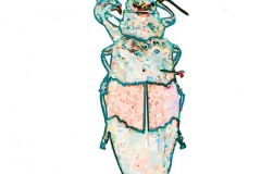 Insects Digital Paintings