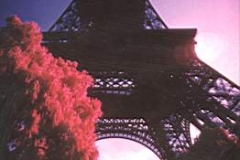 1976 in paris .infra red photography