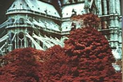 1976 in paris .infra red photography