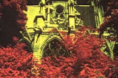 1976 in paris .infra red photography