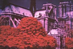 1976 in paris .infra red photography