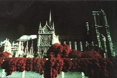 1976 in paris .infra red photography