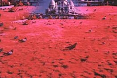 1976 in paris .infra red photography